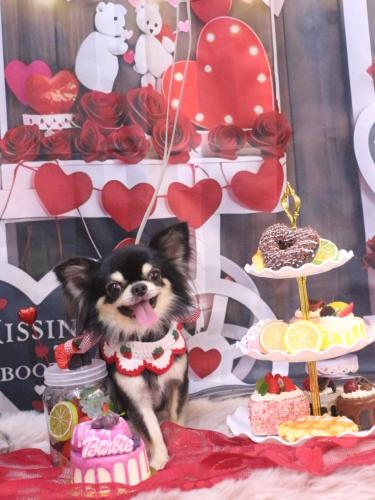 20250208ラブくん